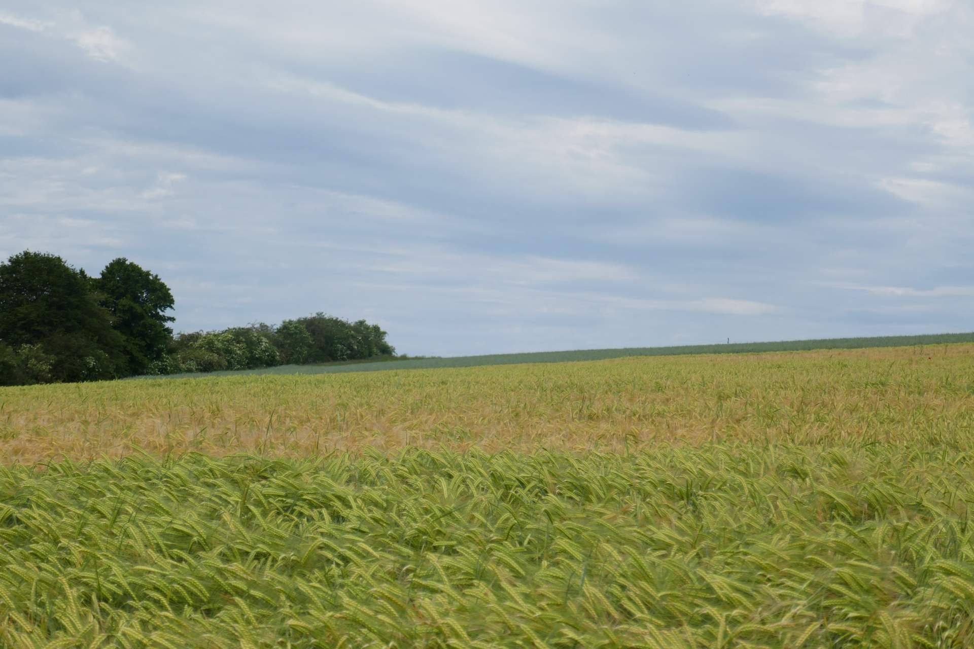 05 Albschäferweg - 2 Tages Wanderung im Juni